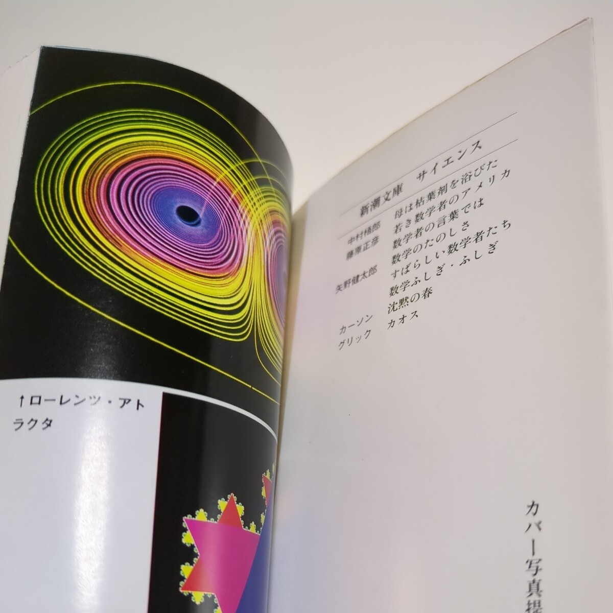 カオス 新しい科学をつくる ジェイムズ・グリック 大貫昌子 新潮文庫 中古 01002F013_画像4