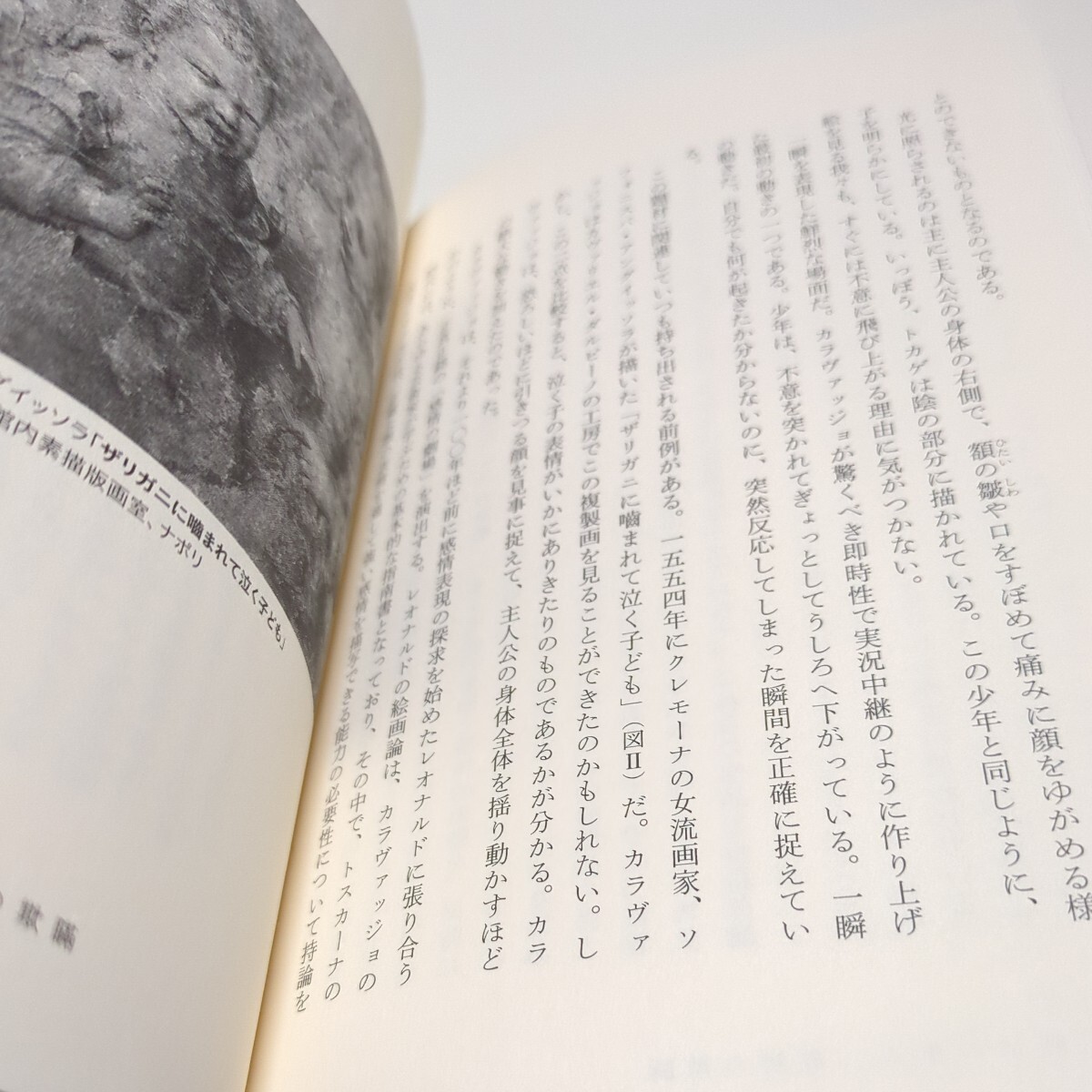 カラヴァッジョの秘密 コスタンティーノ・ドラッツィオ／著　上野真弓／訳 単行本 河出書房新社 中古 01001F004_画像6