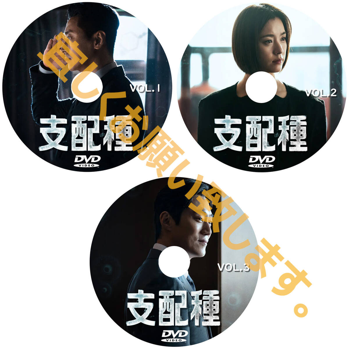 支配種 D709 「HOLY」 DVD 「DAY」 【韓国ドラマ】 「IN」_画像2