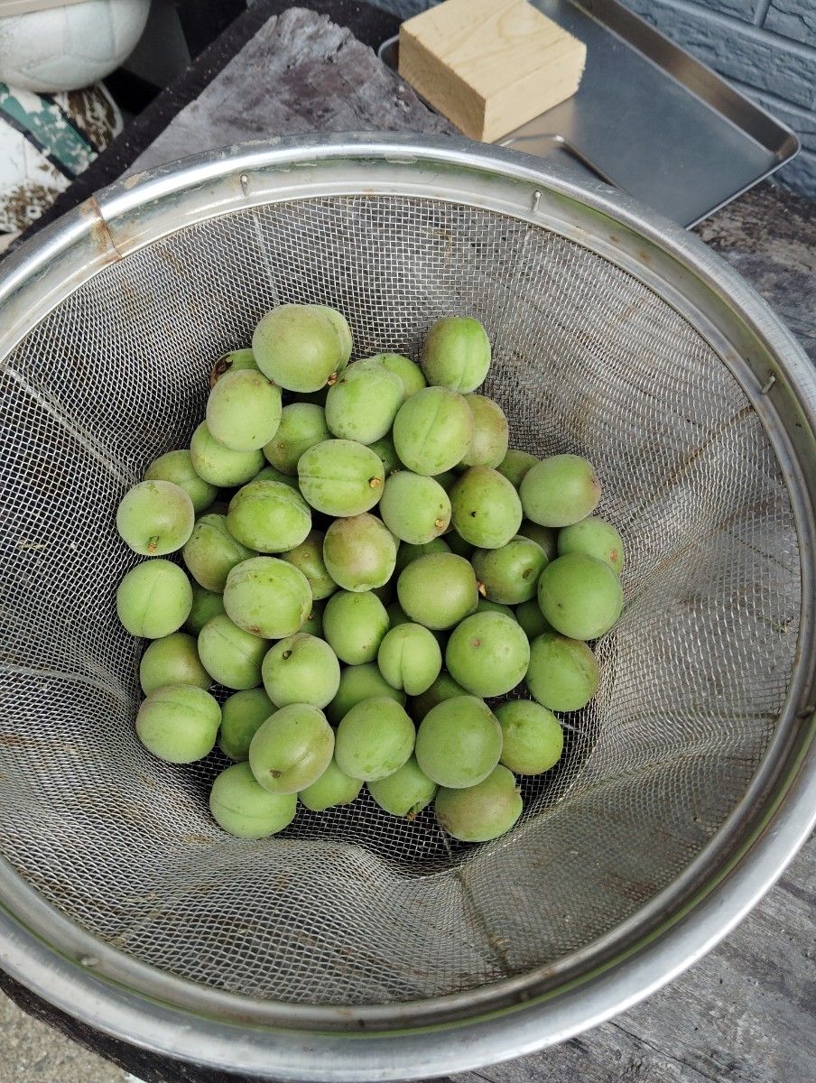 【長崎県産】　青梅　生小梅　800ｇ　朝採れフレッシュ