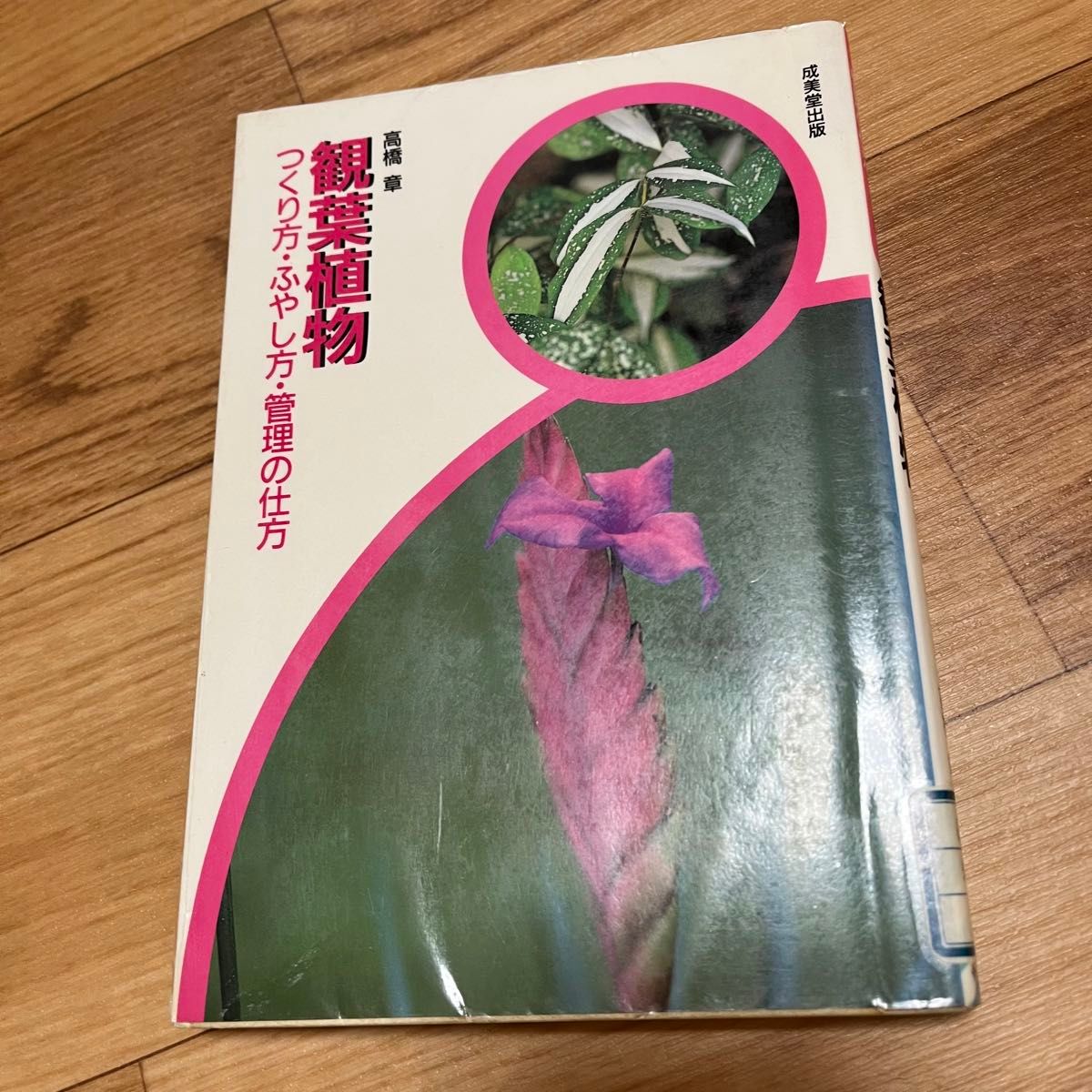 観葉植物 の本