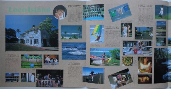 LP●ロコ アイランド / 二名敦子  (1984年） CITY POP ロック ブギー ファンク ディスコ ライトメロー の画像4