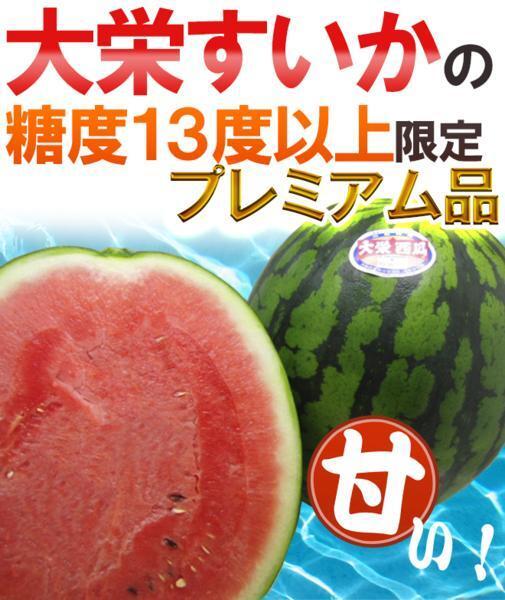 （予約）限定1玉！鳥取【大栄すいか プレミアム】糖度13度以上！！！！の画像2