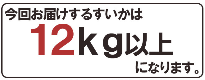 （予約）限定1玉!鳥取産【大栄すいか】超特大 12ｋｇ以上 JUMBO！！！！の画像8