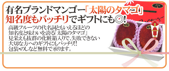 ( предварительный заказ ) ограничение 1 коробка! Miyazaki производство [ солнце. tamago] супер большой шар 4L 2 штук этот год дымка -!!!!
