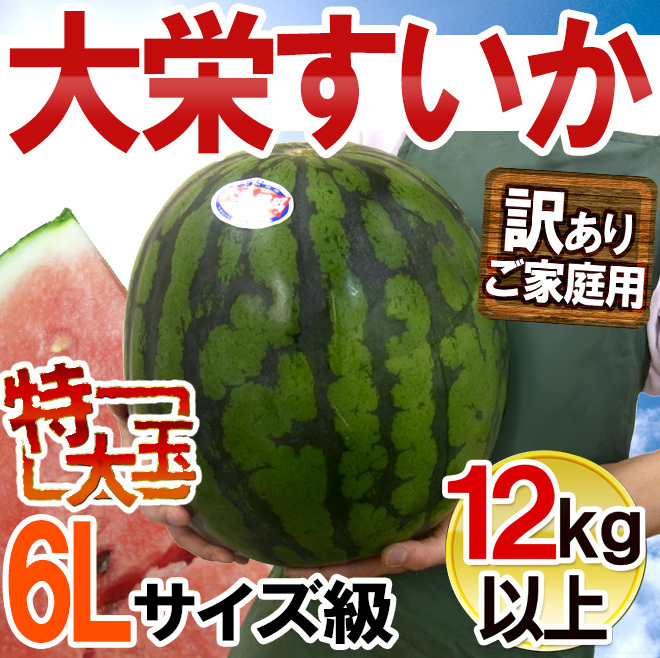 （予約）限定1玉!鳥取産【大栄すいか】超特大 12ｋｇ以上 JUMBO！！！！_画像1