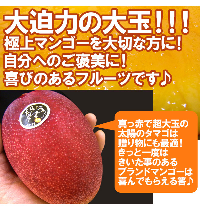 ( предварительный заказ ) ограничение 1 коробка! Miyazaki производство [ солнце. tamago] супер большой шар 4L 2 штук этот год дымка -!!!!