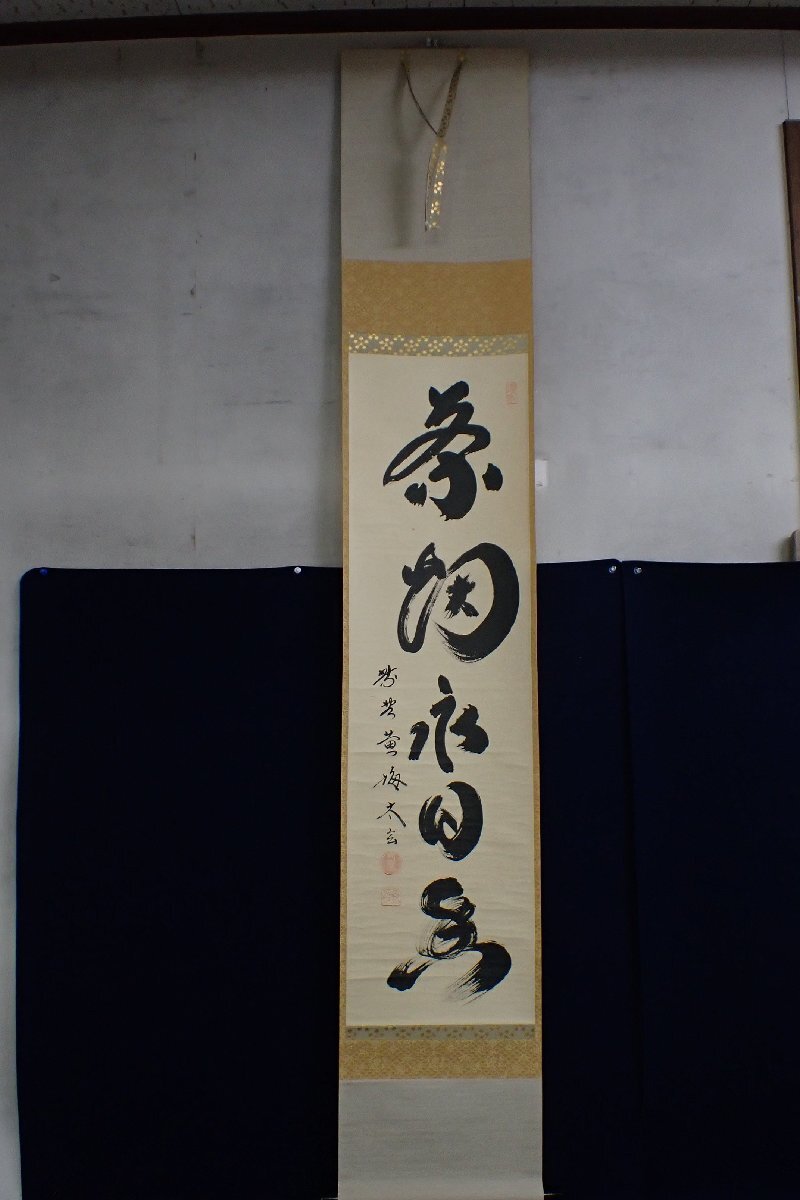 *052052 tea utensils tea . hanging scroll yellow plum . Kobayashi futoshi ..[ tea field . day .] also box *