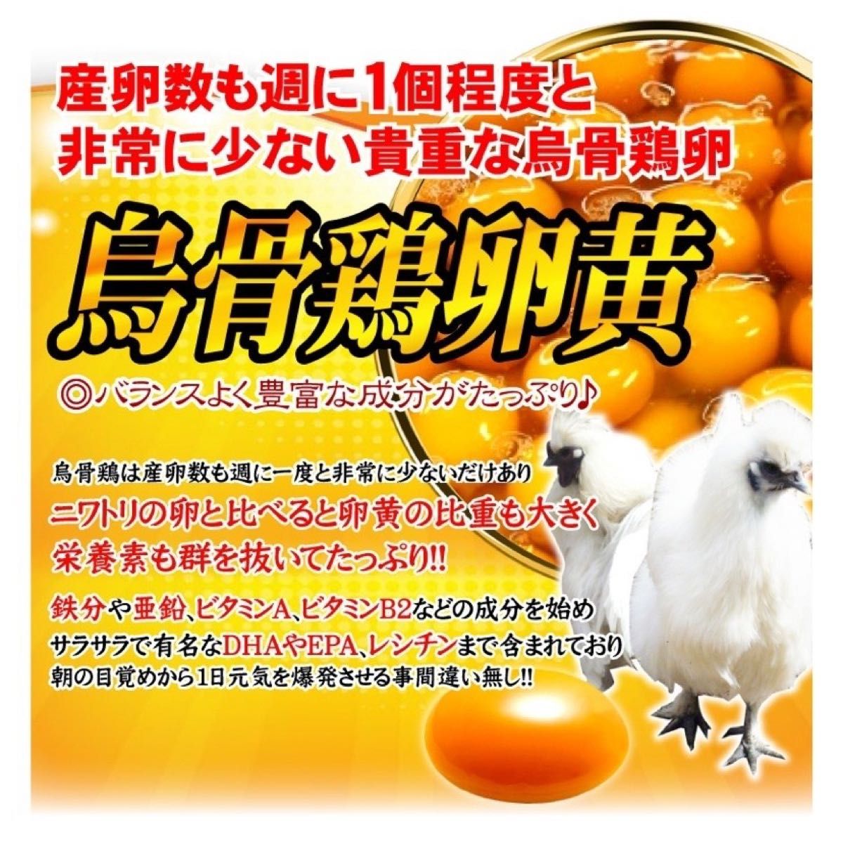 発酵黒にんにく卵黄サプリ+（マカ　ウコン　ビタミン　アミノ酸など）6ケ月分