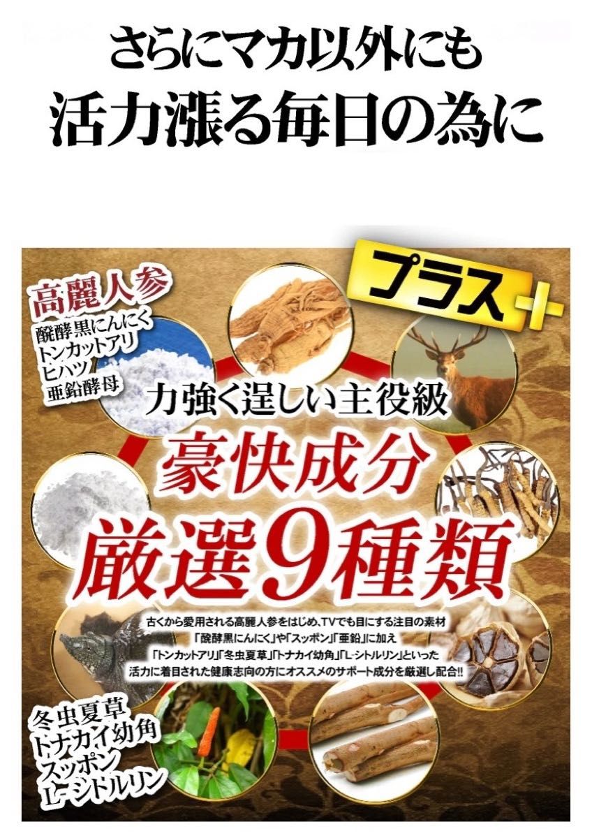 元気爆発　超高配合13種マカ+（高麗人参　スッポン　黒ニンニク　亜鉛）6ヶ月分