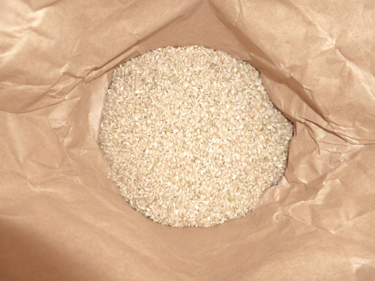  Koshihikari 5 kilo brown rice . peace 5 fiscal year Ehime prefecture 