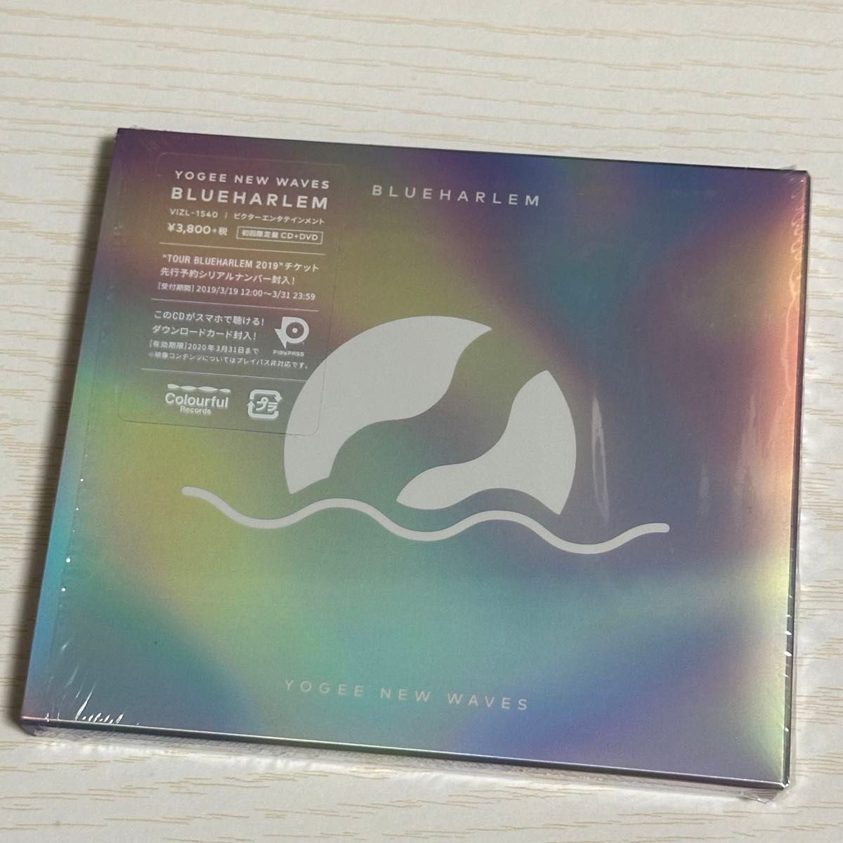 Yogee New Waves BLUEHARLEM 【初回限定盤】(+DVD) アルバム CD