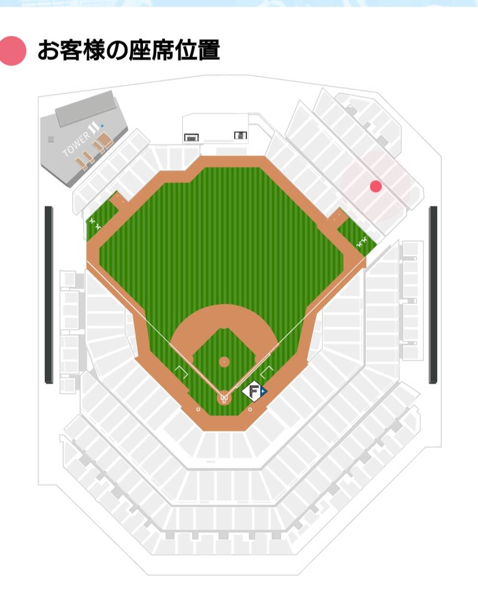 5月22日（水）日本ハム　VS.　オリックス　MAIN LEVEL　外野ライト　Sec.207　16列　通路側からペア連席2枚　エスコンフィールド　_画像3