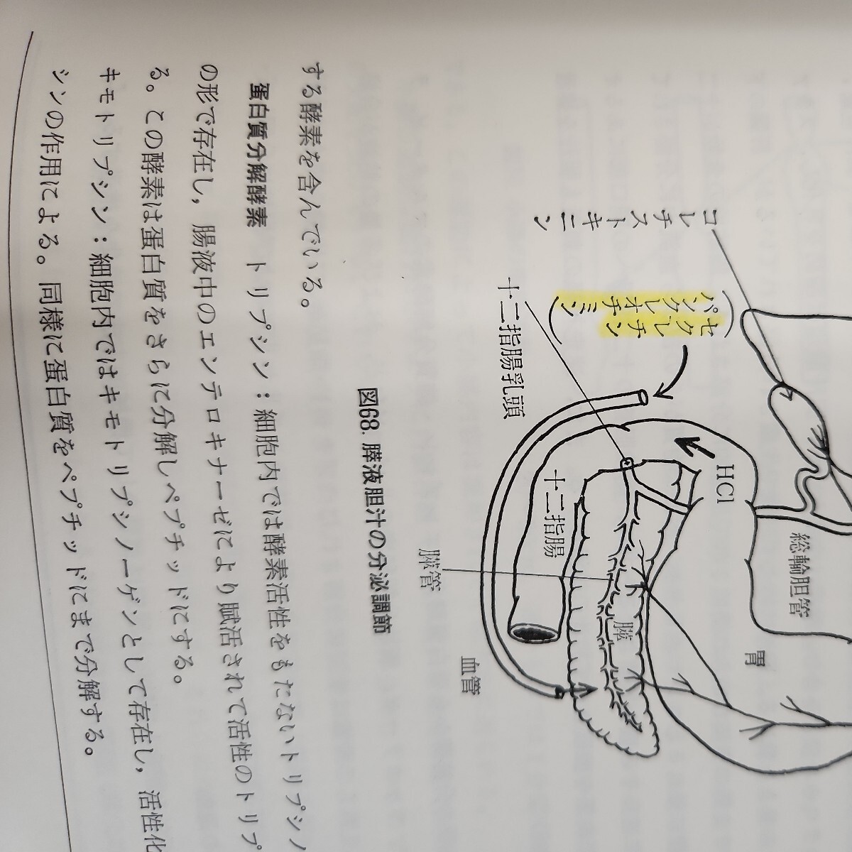 E01-104 図説 人体生理学 (上) 医学博士 伊藤 夫 著 書き込み有り - 医学一般 E01-104 図説 人体生理学 (上) 医学博士 伊藤 夫 著 書き込み有り - 医学一般