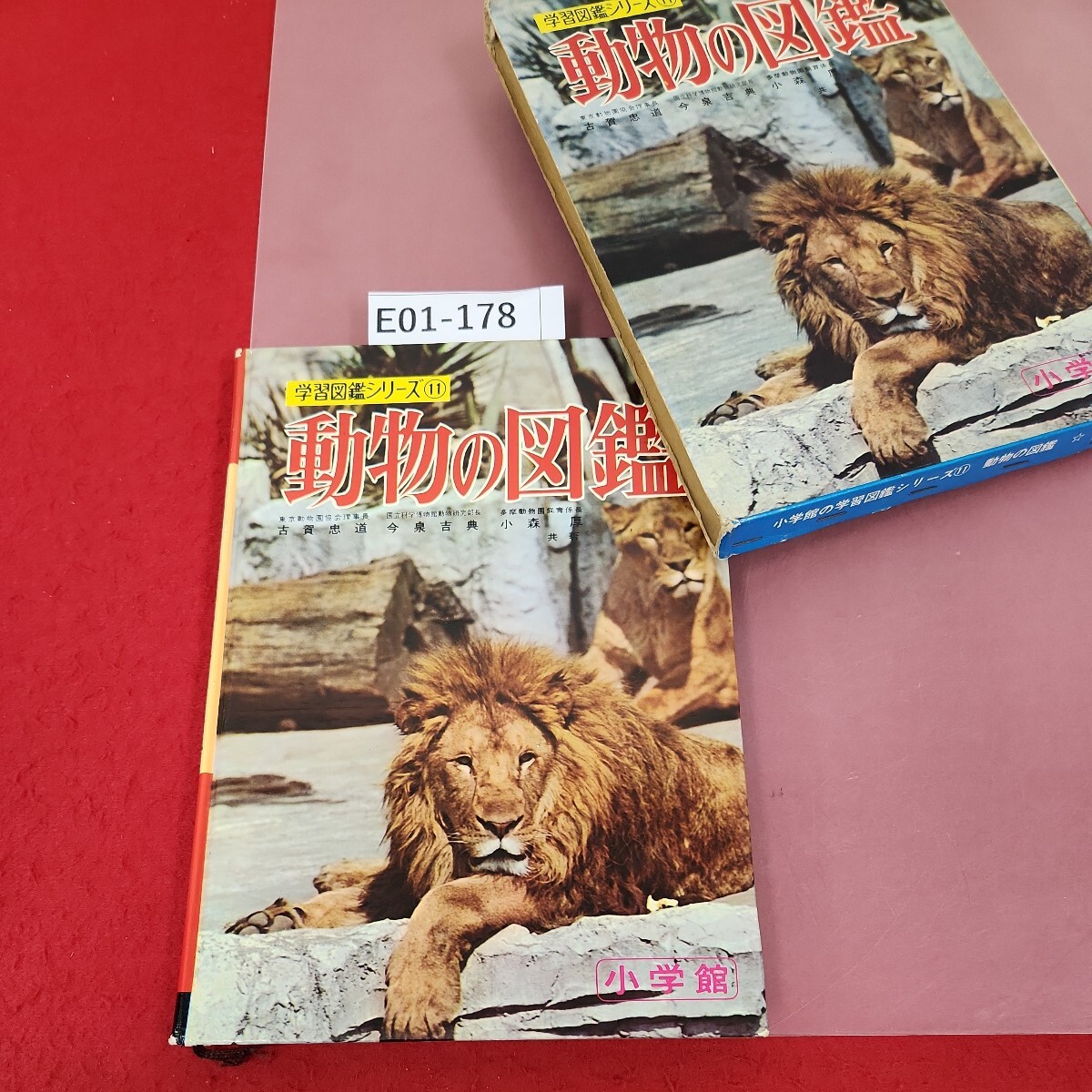 E01-178 小学館の 動物の図鑑 学習図鑑シリーズ 11 ページ割れ有り