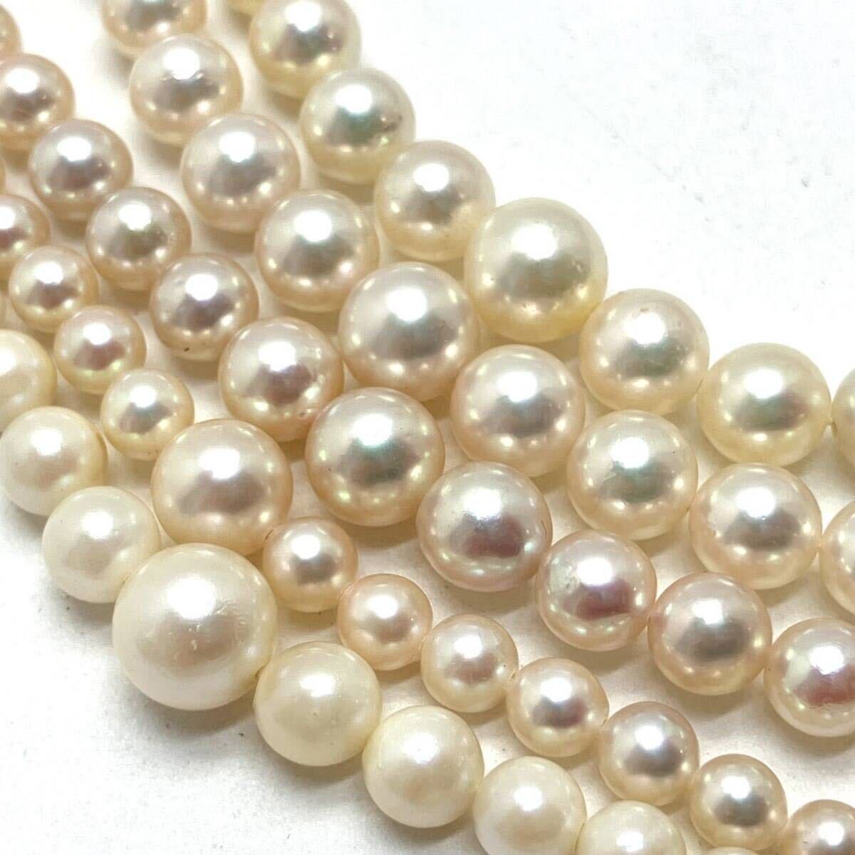 ［アコヤ本真珠羽織ひもおまとめ］m 約61.0g あこや ベビー パール 約3.0~8.0mm珠 pearl 和装小物 着物 accessory jewelry CE0_画像3