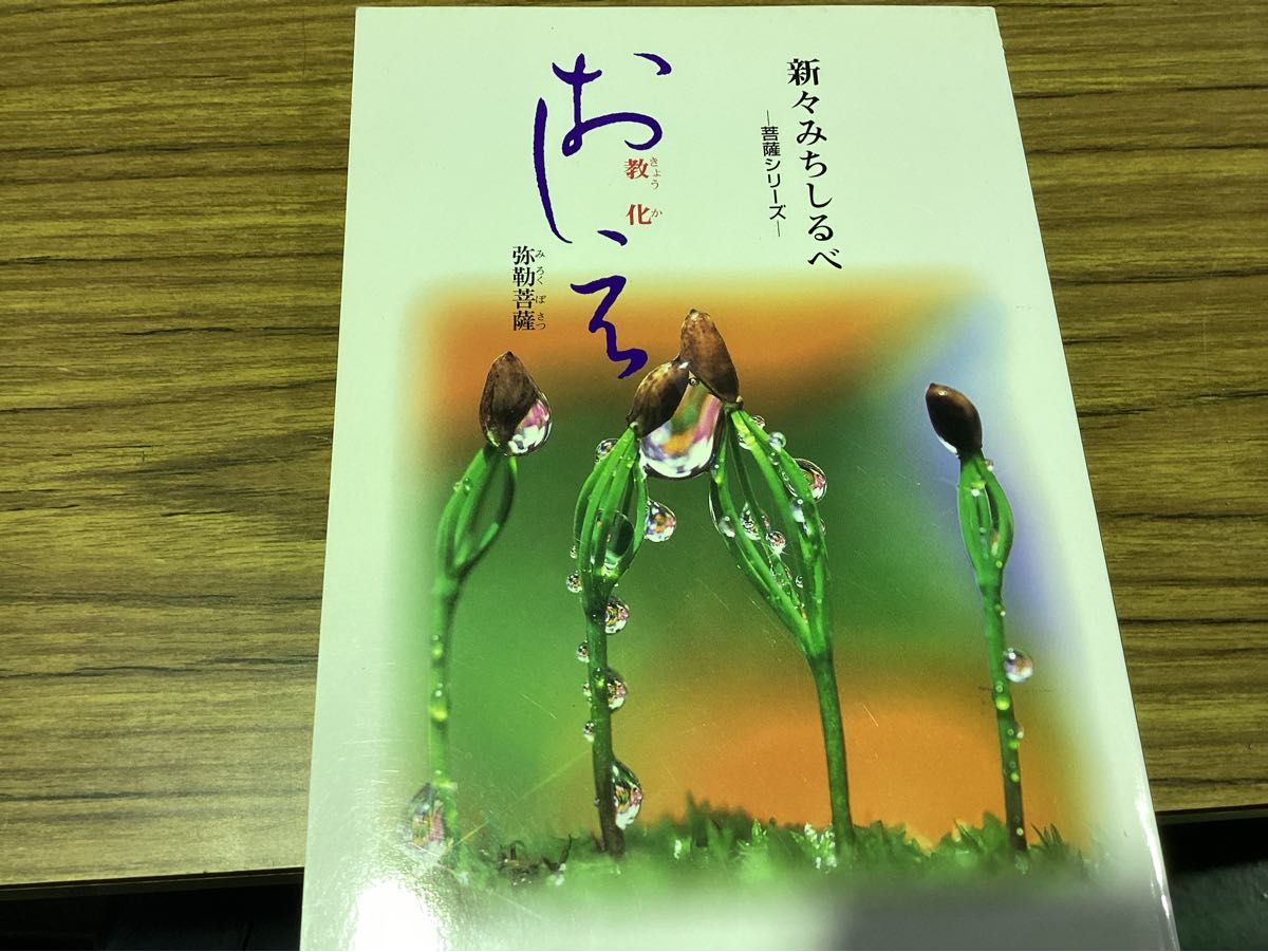 みちしるべ　行　新々みちしるべ　菩薩シリーズ　おしえ　教化　どうり　理知　新みちしるべ　釈尊・十大弟子より　ききかた　多聞　セット