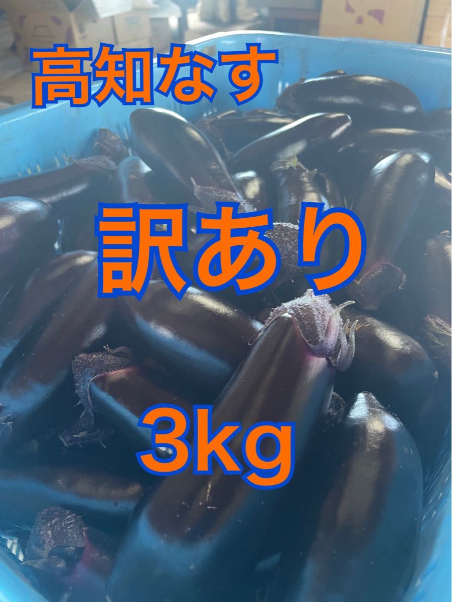 【訳あり】高知県なす　3kg