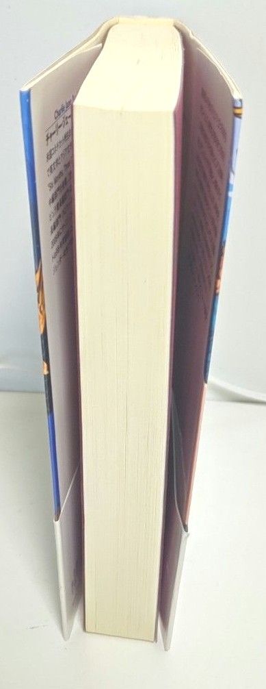 空のあらゆる鳥を （創元海外ＳＦ叢書　１５） チャーリー・ジェーン・アンダーズ／〔著〕　市田泉／訳