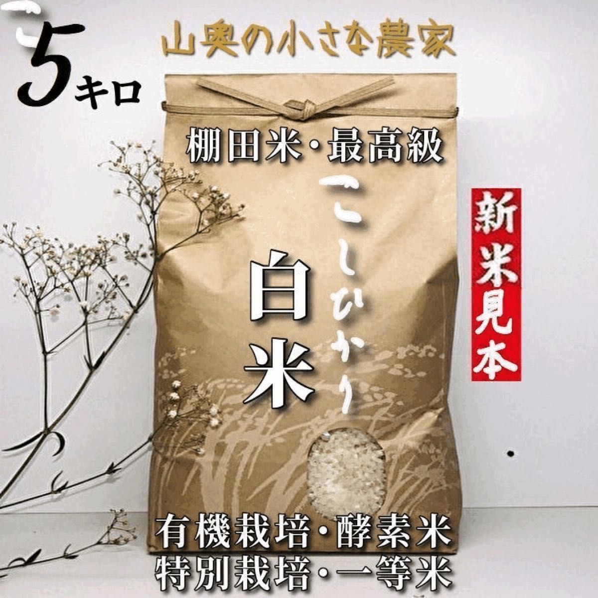 【希少】コシヒカリ　酵素米　玄米５ｋｇ「標準白米に精米」令和５年新米　棚田米　無洗米　ミルキークィーン　ミルキークイーン　つや姫