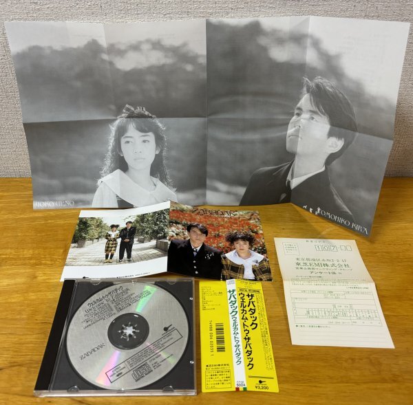 ◎ZABADAK/Welcome To Zabadak (3rd/87年作/吉良知彦/上野洋子/美チャンス/水のルネス)※国内盤CD/帯付【POPSIZE CT32-5024】1987/11/5発売_画像5