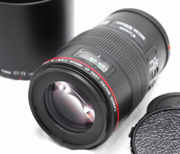 【超美品・純正フード付き】Canon キヤノン EF 100mm F2.8 L IS USM MACRO_画像2