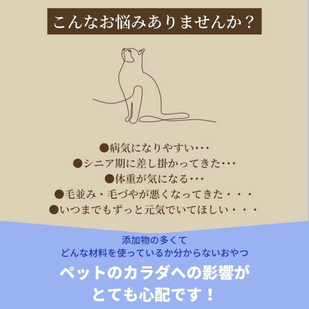 無添加 国産 猫 おやつ キャットフード ささみジャーキー  鶏肉　鶏　ササミ　猫　ペット おやつ 50g