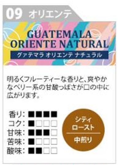 ◆送料無料 賞味期限：2025.05 加藤珈琲店 03ペルー世界規格Qグレード/09グァテマラ オリエンテ ナチュラル コーヒー豆(中挽き)200g×2袋 の画像3