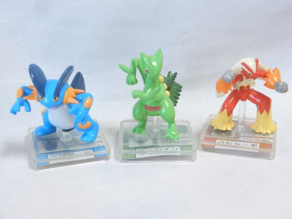 現状品 ポケットモンスターアドバンスジェネレーション フルカラーアドバンス05 全12種 ポケモン ラグラージ ジュカイン バシャーモ_画像2