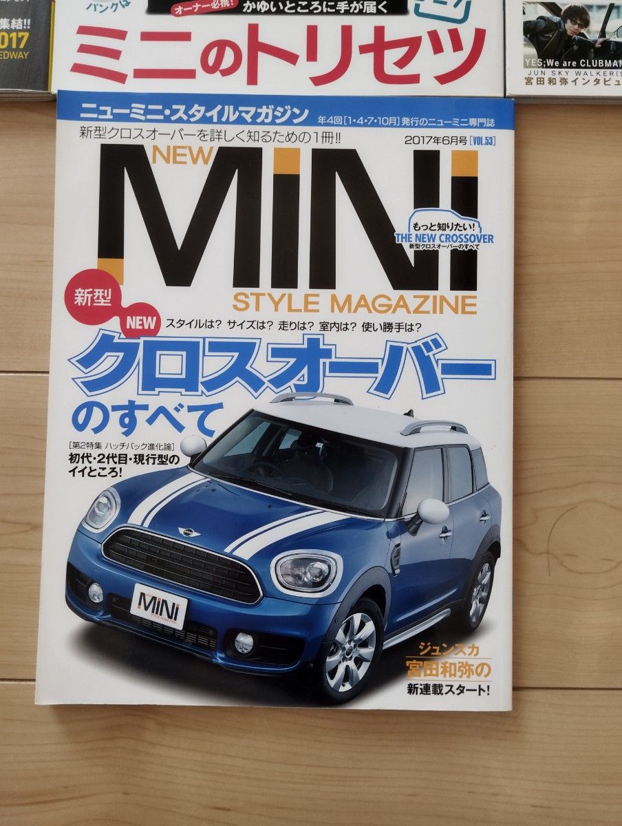 限定MINI ミニ スタイルマガジン 10冊雑誌セット！