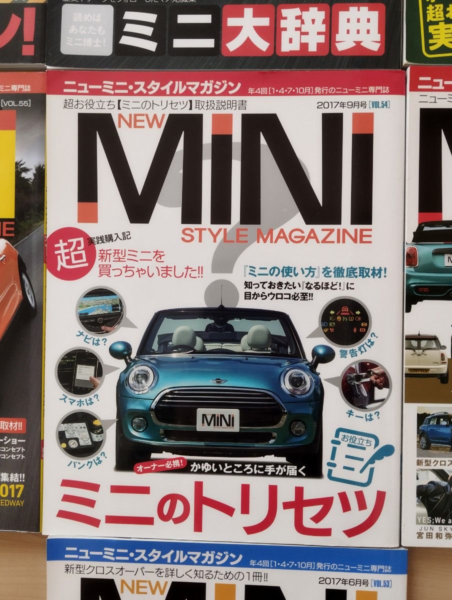限定MINI ミニ スタイルマガジン 10冊雑誌セット！