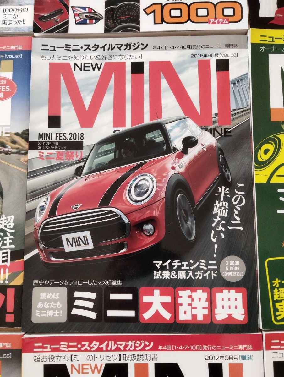 限定MINI ミニ スタイルマガジン 10冊雑誌セット！