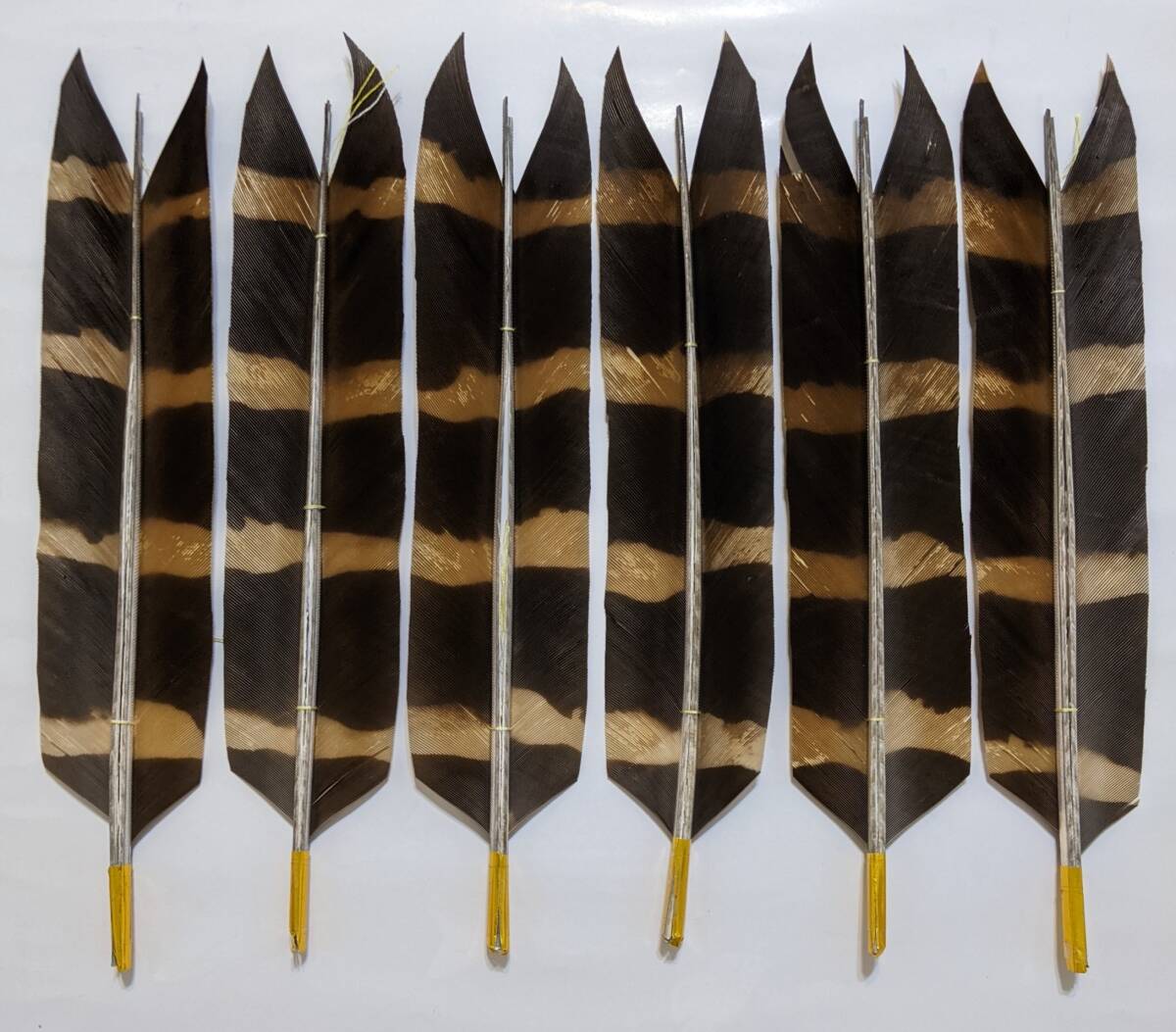  archery arrow feather bamboo arrow bamboo bow black . tail feather opening dyeing pulling out natural manner four  arrow 