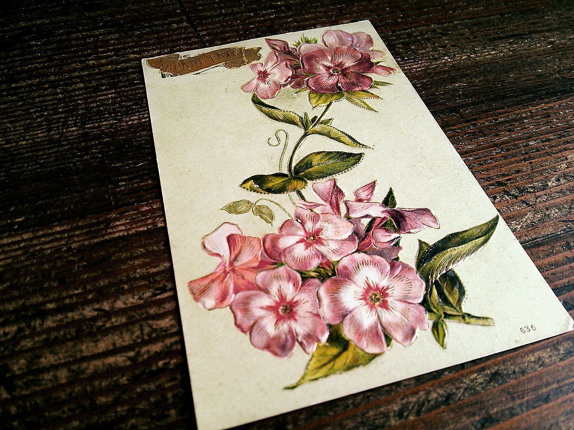  flower (18)G73*en Boss antique postcard France Germany England 