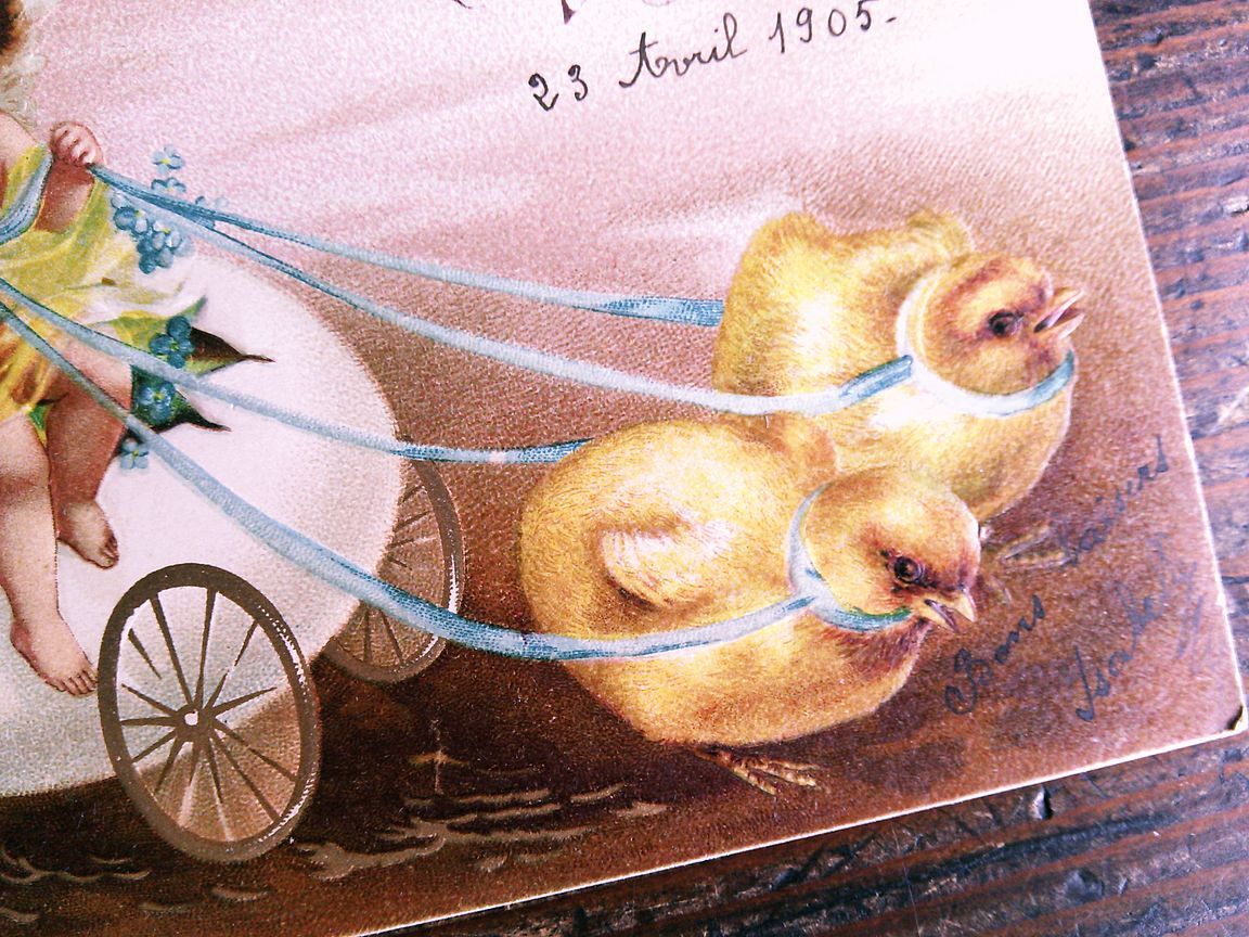 イラスト (7)◆P45 エンボス Ellen Clapsaddle クラップサドル 子供 天使 ヒヨコ イースター アンティークポストカード フランス_画像3