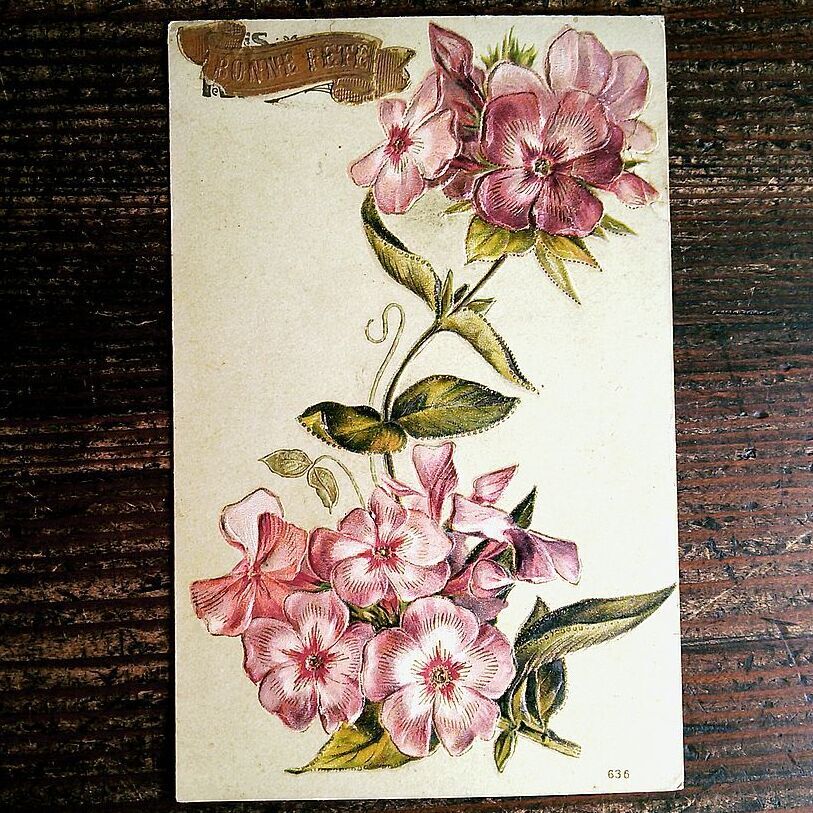  flower (18)G73*en Boss antique postcard France Germany England 