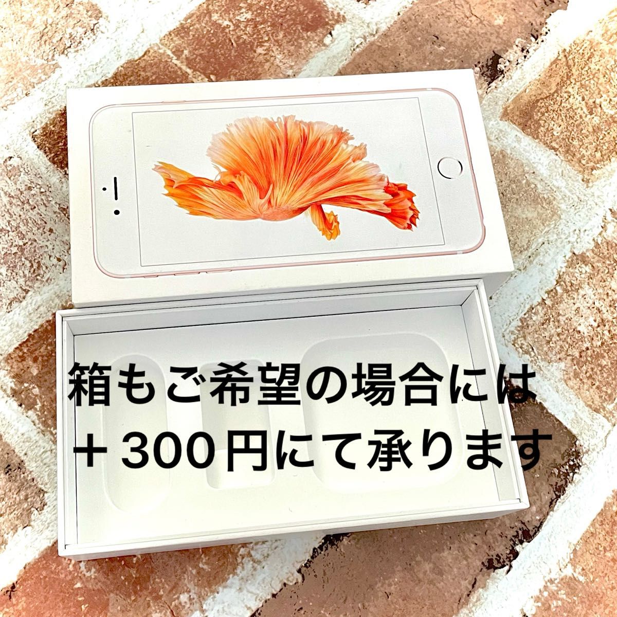 未使用【イヤホンのみ】iPhoneイヤホン 純正 Apple 本物 