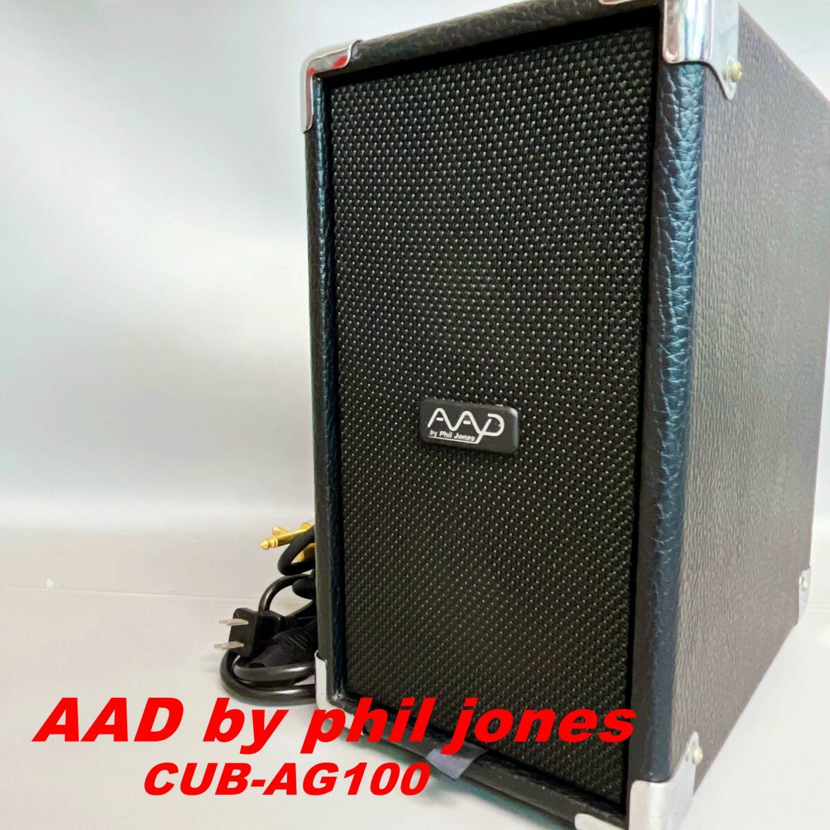 AAD by Phil Jones CUB-AG100 ギターアンプ 電源コード ケーブル付き 通電OK_画像1