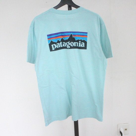 h182 2000年代製 Patagonia パタゴニア 半袖プリントTシャツ■00s 表記Lサイズ グリーン 39174 アメカジ ストリート 古着 古着卸 激安 希少_画像1