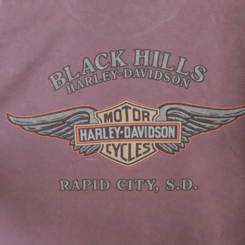 N324 2006年製 USA製 HarleyDavidson ハーレーダビッドソン 半袖プリントTシャツ■00s 表記Lサイズ パープル ブラックヒルズ 古着 古着卸の画像3