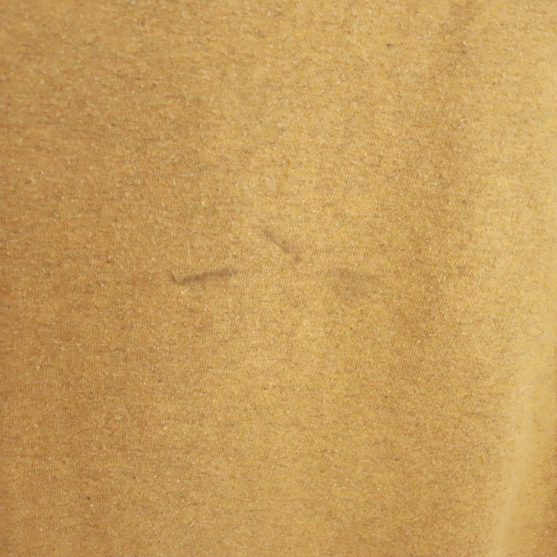 L527 2000年代製 patagonia パタゴニア 38504 半袖プリントTシャツ■00s 表記Lサイズ マスタード P-6ロゴ・レスポンシビリティー 古着卸_画像8