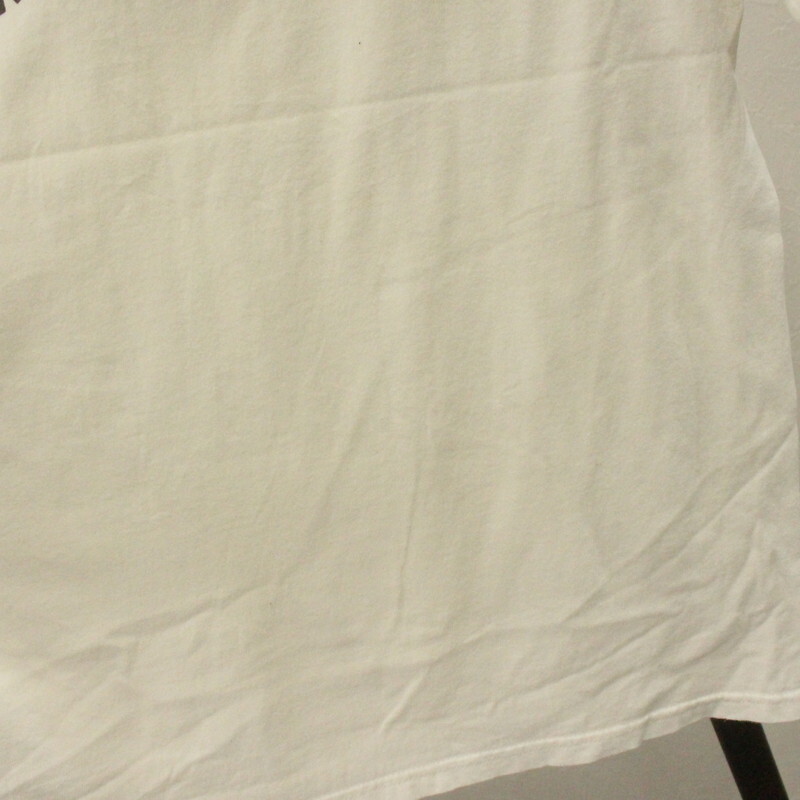 B380 2000年代製 anvil アンビル 半袖プリントTシャツ■00s 表記Mサイズ ホワイト 白 アニマル 亀 アメカジ ストリート 古着 古着卸 90s_画像8