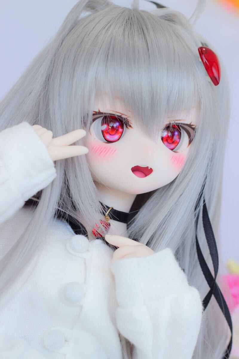 [Snow*World]DDH-01 SW. custom head + I 