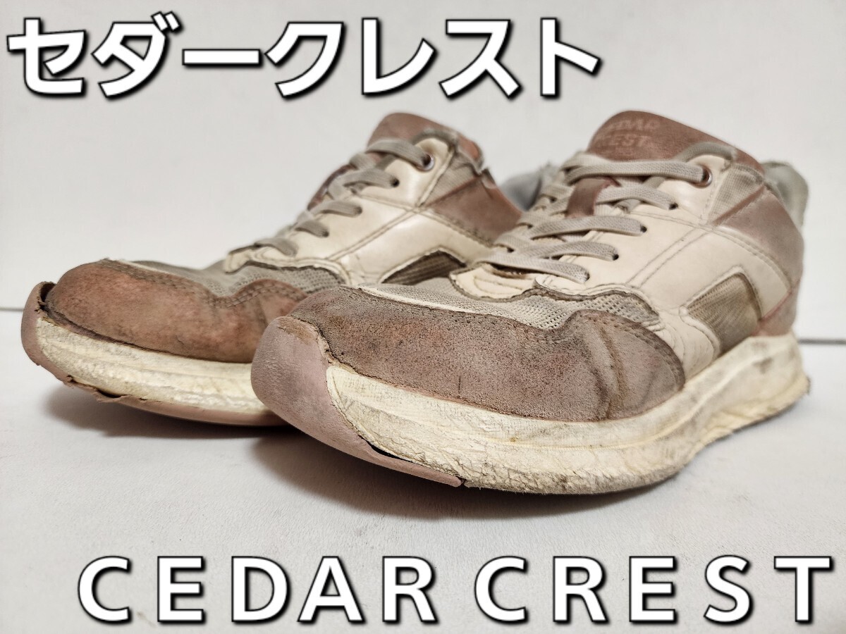 ★◆セダー クレスト◆ＣＥＤＡＲ ＣＲＥＳＴ◆スパットシューズ◆スニーカー◆CC-2507◆ピンク×ブラウン◆２２.５cm◆ＪＳ◆中古品◆★_画像1