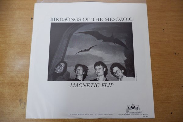X3-129＜LP/US盤/美品＞Birdsongs Of The Mesozoic / Magnetic Flip_画像3