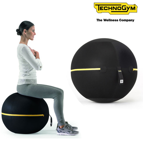  exercise ball chair 55siting exercise ball well nes ball TECHNOGYM Techno Jim fitness (100) BE17RK-W#24
