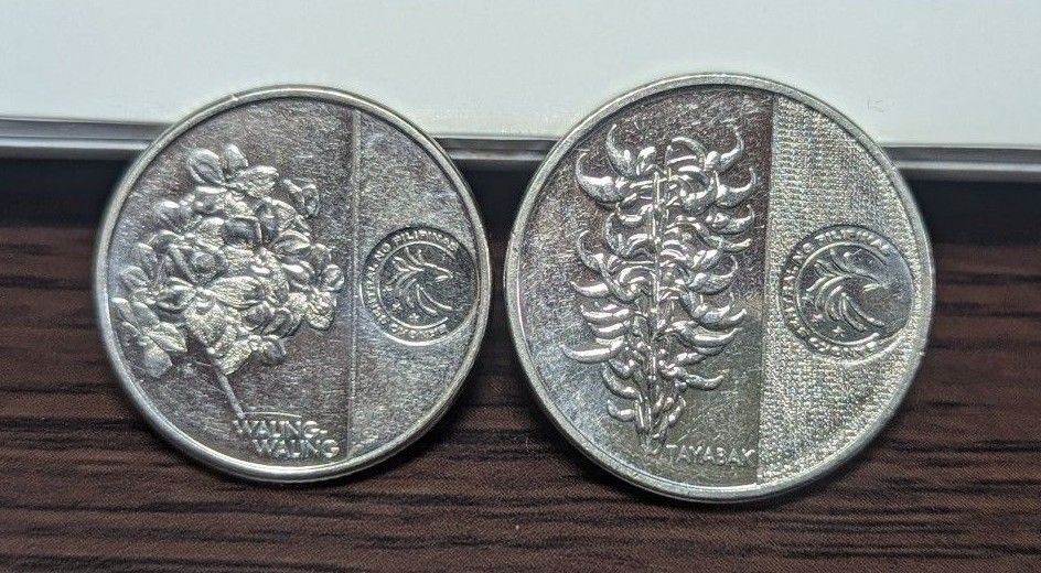フィリピン コイン 2枚 セット コイン 海外 ペソ アジア 硬貨 f20