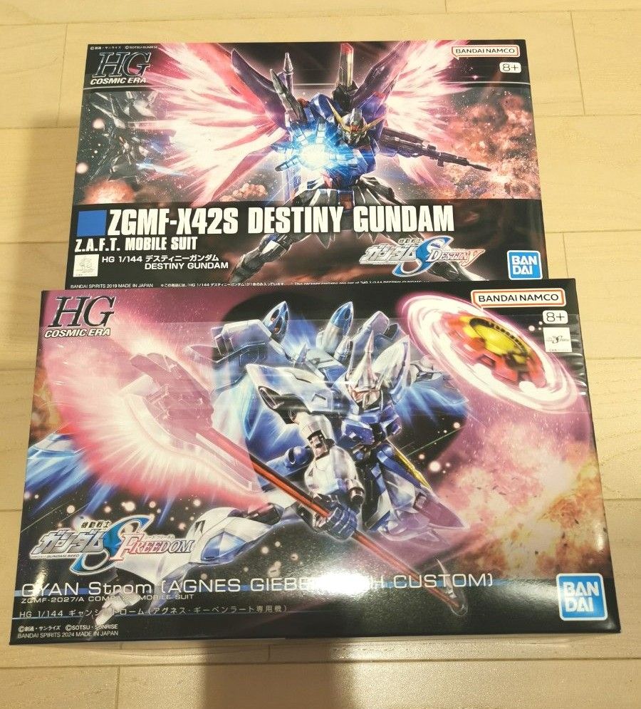 【新品未開封】 HG HGCE デスティニーガンダム  ギャンシュトローム 2体セット 機動戦士ガンダムSEED DESTINY