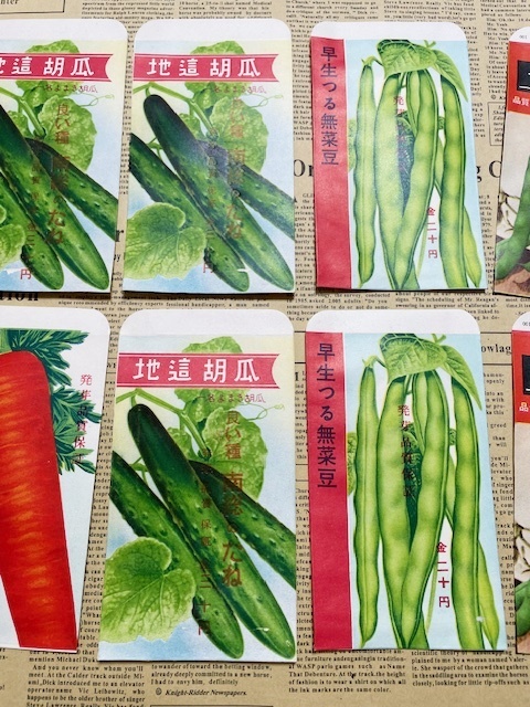 当時物 昭和レトロ 野菜の種子ラベル 袋のみ16枚セット 印刷物 紙もの コラージュ リメ缶など リメイク素材の画像4