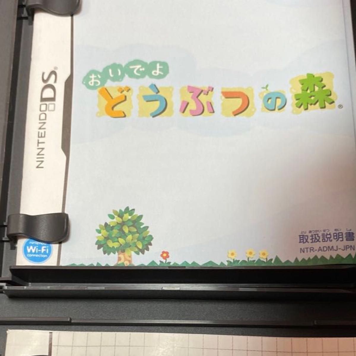 【DS】おいでよ どうぶつの森 Switch Nintendo